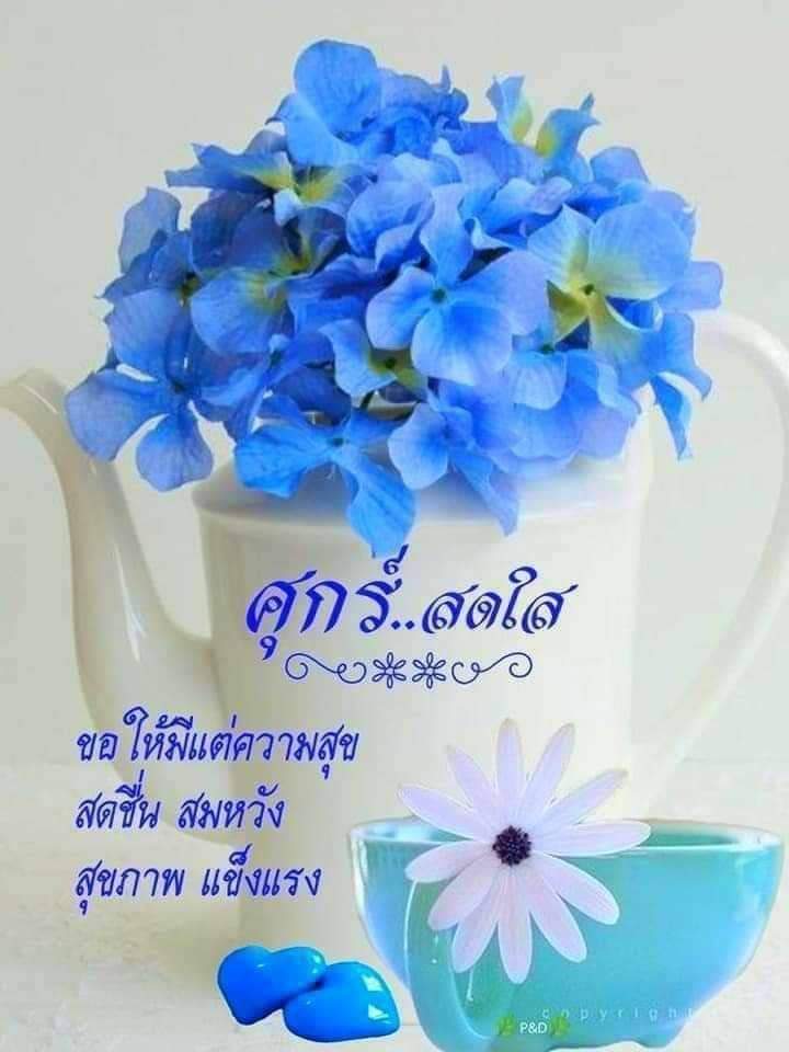 TharwonO's tweet photo. @hiw_khae https://t.co/ro3gMsMyLo