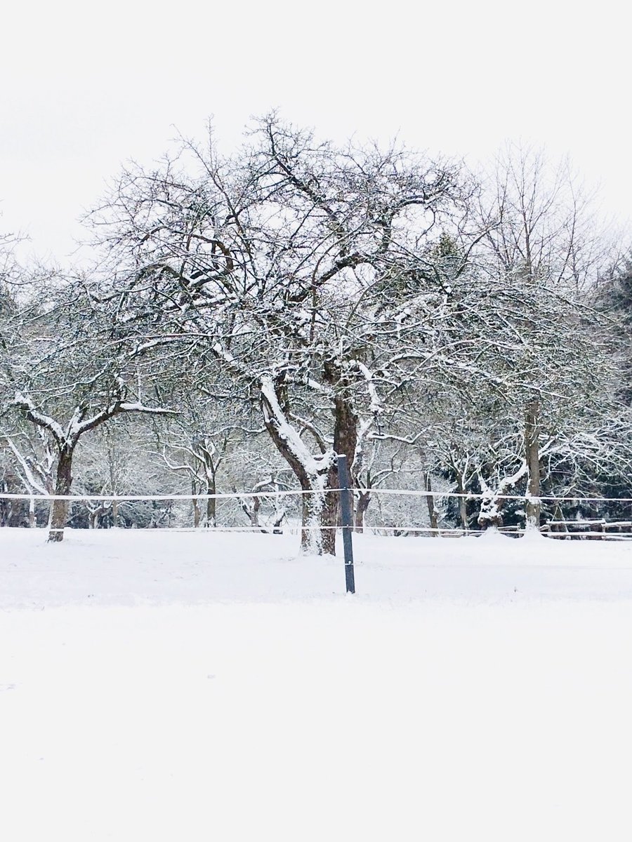 Guadn Moang ❄️ #goodmorning #friday #austria