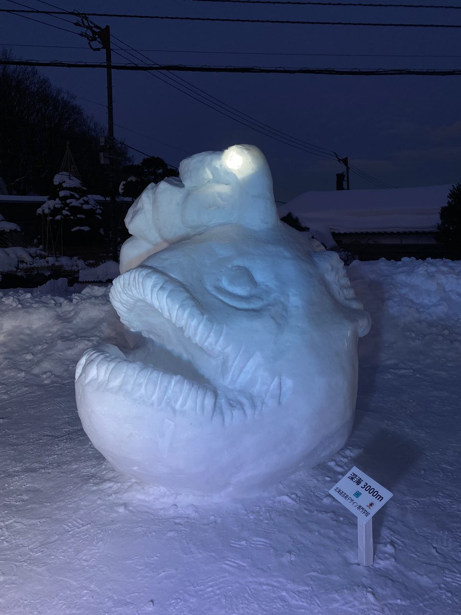 bisen_craftd's tweet photo. 暗い海で
道を照らしてくれてる🌠
「深海3000m」
#sapporochobi #雪像彫刻 #Snowsculpture #アンコウ #footballfish #札幌 https://t.co/21TNB7SQVL