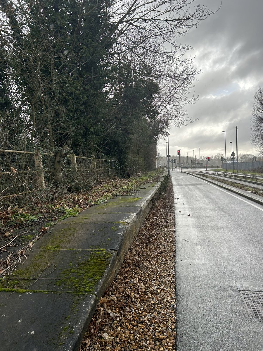 wheresw90458208's tweet photo. Yesterdays run along the #Cambridge #Guidedbus route. Lovely run and quite nice to see what had remained post construction, still regret not exploring when living there in the 00’s. Details in each pic #Disused #railway #Running @bordersbeeching https://t.co/6gYQxELpIY