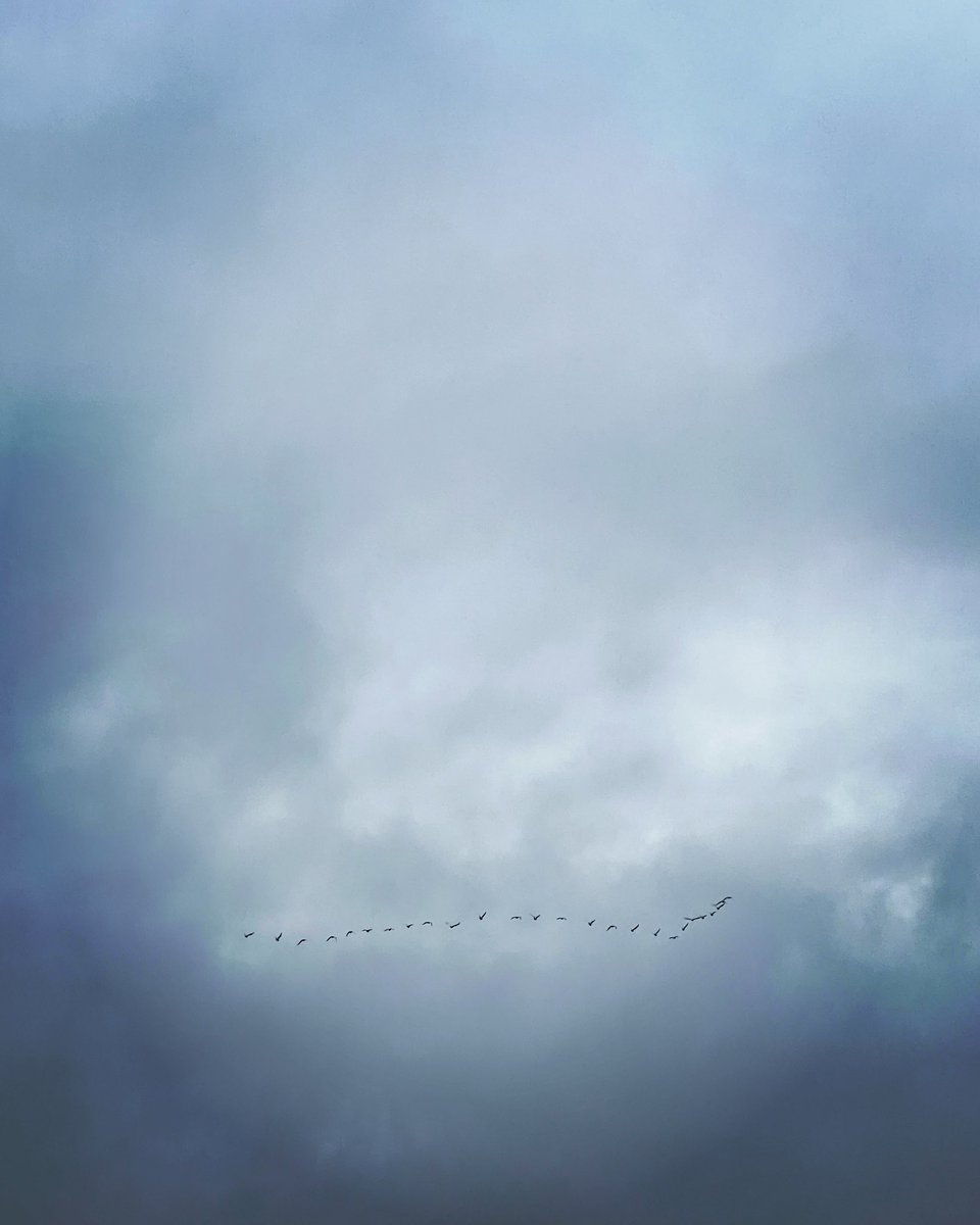 Laura J Simms FRSA (she/her) tweet media