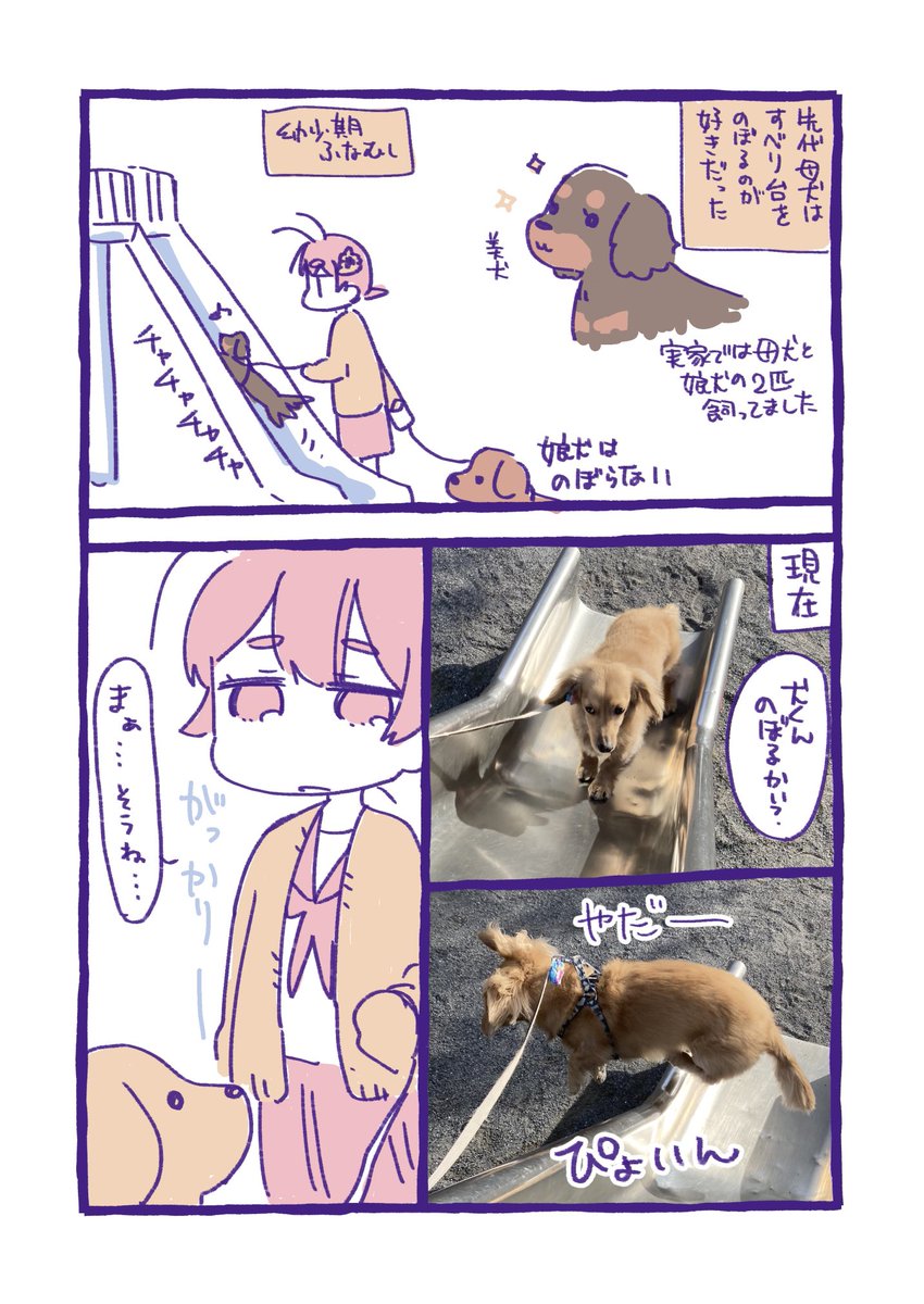 #ふなむし日記
すべりだいといぬ 