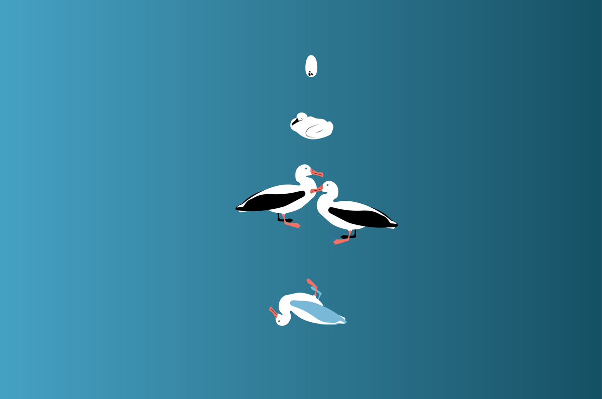 unifr's tweet image. Chercheuses en épidémiologie au #PopHealthLab, les docteures Rose Van der Linden et Patricia Chocano-Bedoya ciblent les facteurs de risque qui jalonnent nos vies, afin de mieux prévenir l’apparition de maladies à l’âge avancé.

#Unifr #universitas #santé

unifr.ch/universitas/de…