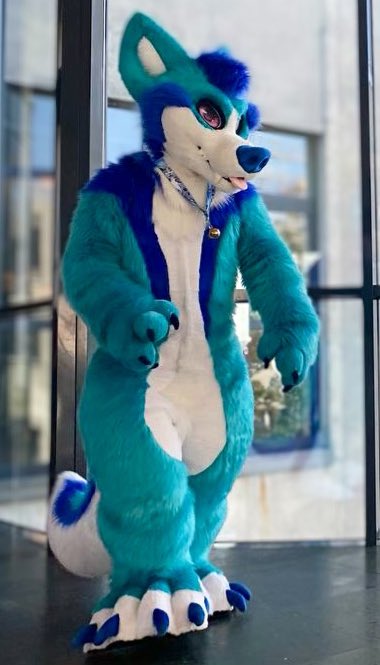 Happy Fursuitfriday everyone🥳💙NFC is closing up fast🤩#fursuitfriday #cosplay #furryconvention #eurofurence26