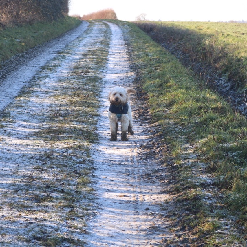 1accounts1's tweet image. Lunch time walks 🙌

As a business owner, life can be stressful. One of the best ways to de-stress is to go for a walk in the fresh air! 

Want to learn more about how to look after YOU? Come to our wellness event on the 7th of Feb at 3pm. RSVP to jenni@1accounts.co.uk