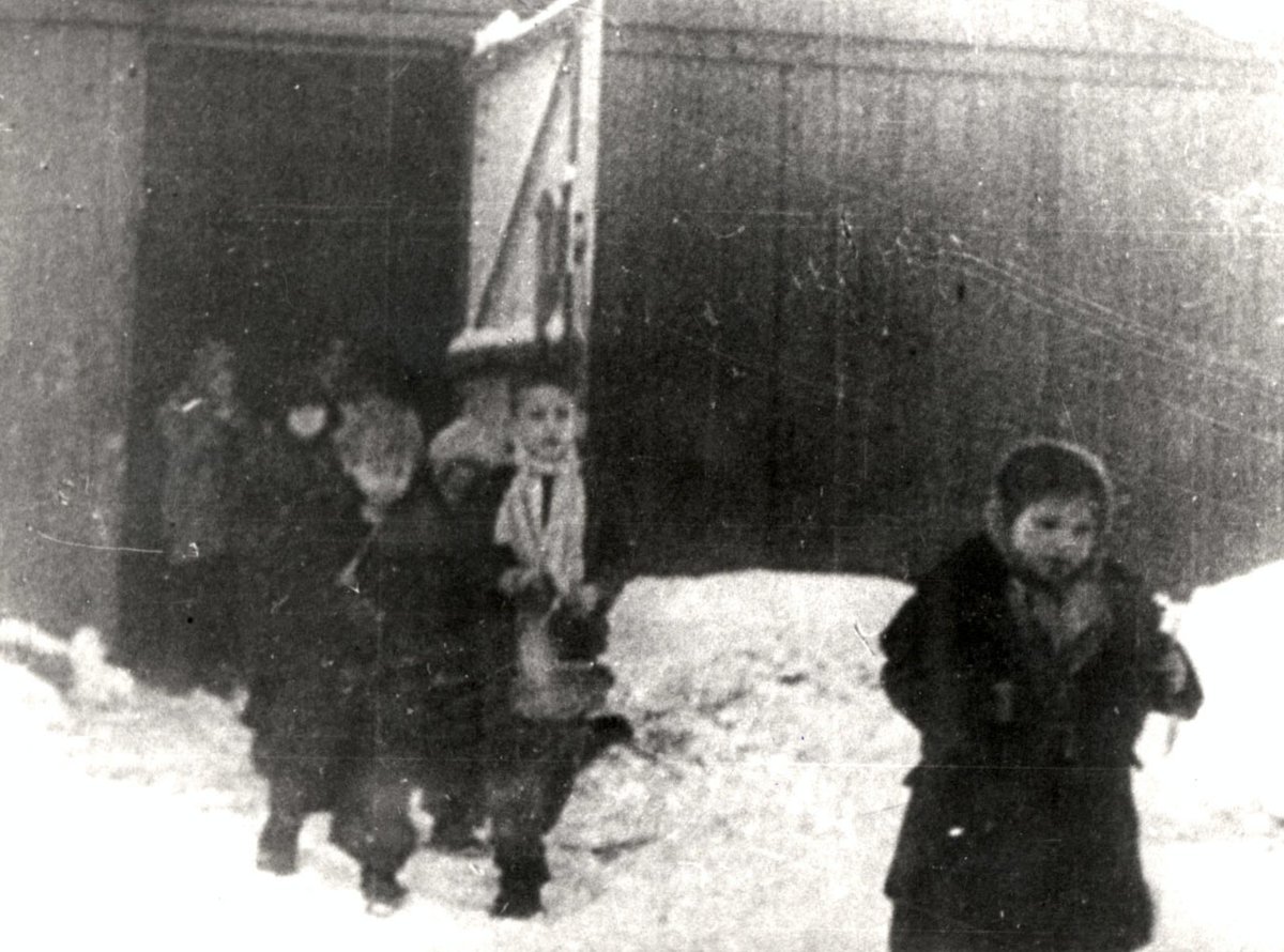 Auschwitz Exhibition tweet media