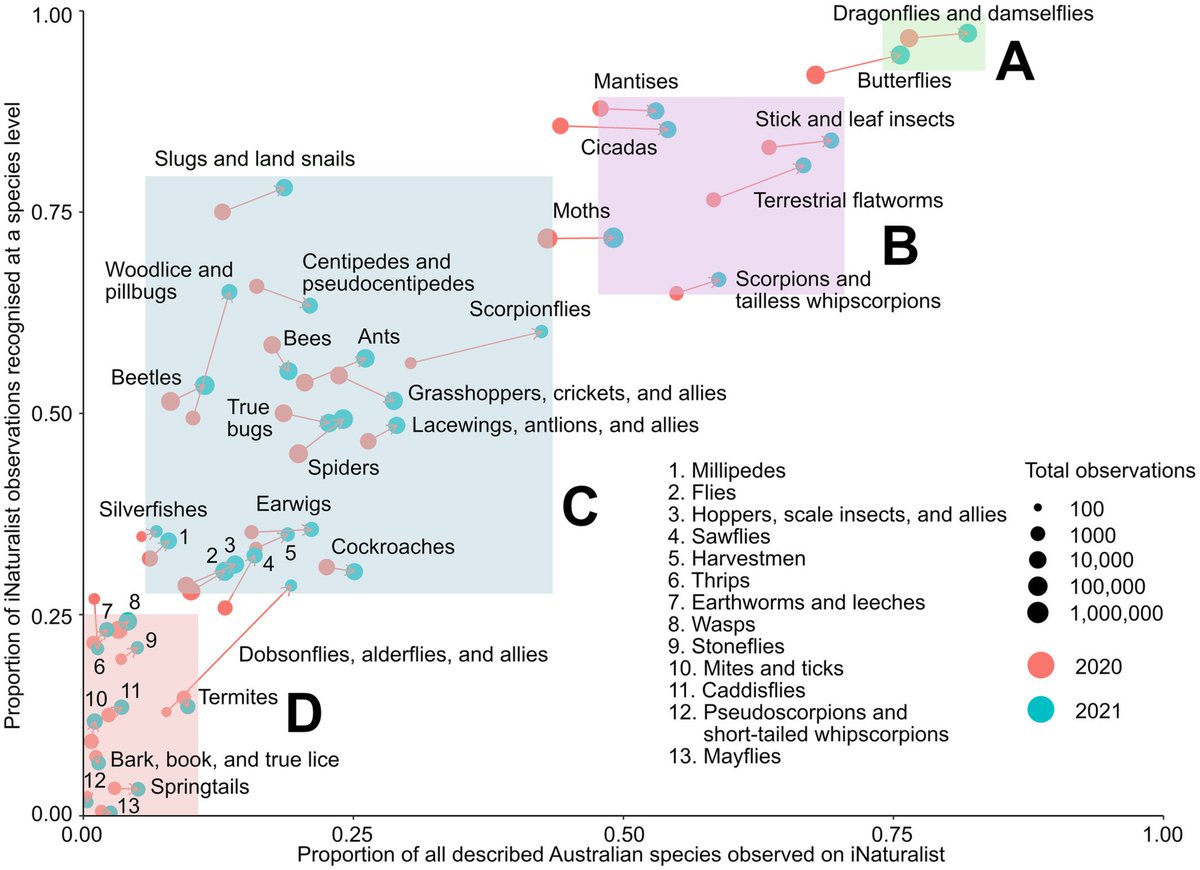 New paper in @ESAFrontiers. We analysed >1 million @inaturalist records of Australian terrestrial invertebrates (as of Dec. 2021) and assessed 'recognition' (% ID'ed to species) and 'completion' (% of all known species recorded) across 39 broad taxa doi.org/10.1002/fee.26…