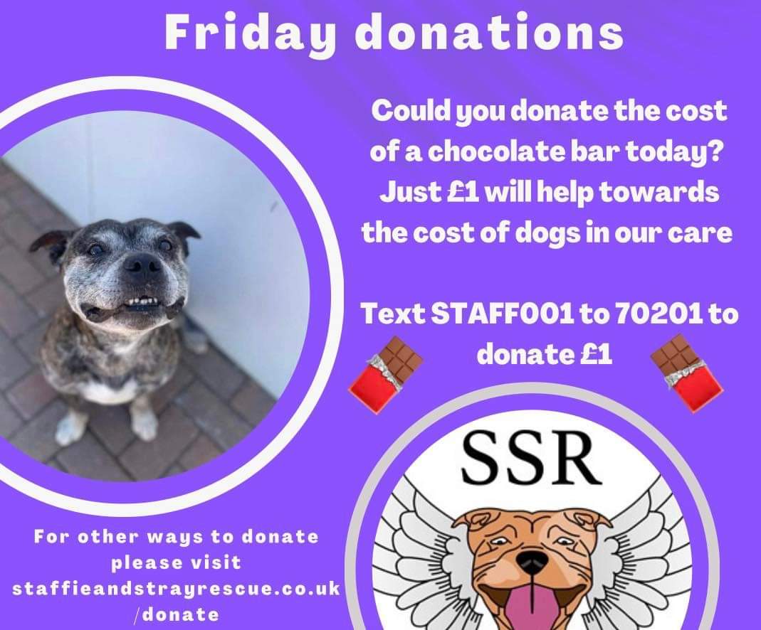 StaffiesRescue's tweet photo. https://t.co/7RRD7bhU9W
