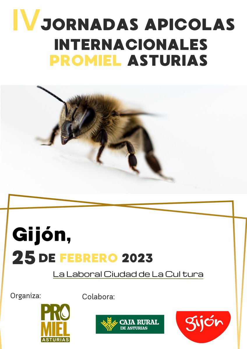 PromielA's tweet image. 𝗦𝗔𝗩𝗘 𝗧𝗛𝗘 𝗗𝗔𝗧𝗘 🐝🔈
🗓️ Reserva la fecha‼
OS ANUNCIAMOS NUESTRA 𝙅𝙊𝙍𝙉𝘼𝘿𝘼𝙎 𝙄𝙉𝙏𝙀𝙍𝙉𝘼𝘾𝙄𝙊𝙉𝙀𝙎 𝘼𝙋Ì𝘾𝙊𝙇𝘼𝙎🐝🐝
📌 25 DE FEBRERO NOS VEMOS EN GIJON! 
#abejas #apicultura🐝 #jornadasinternacionales #gijòn #somosapicultores🐝