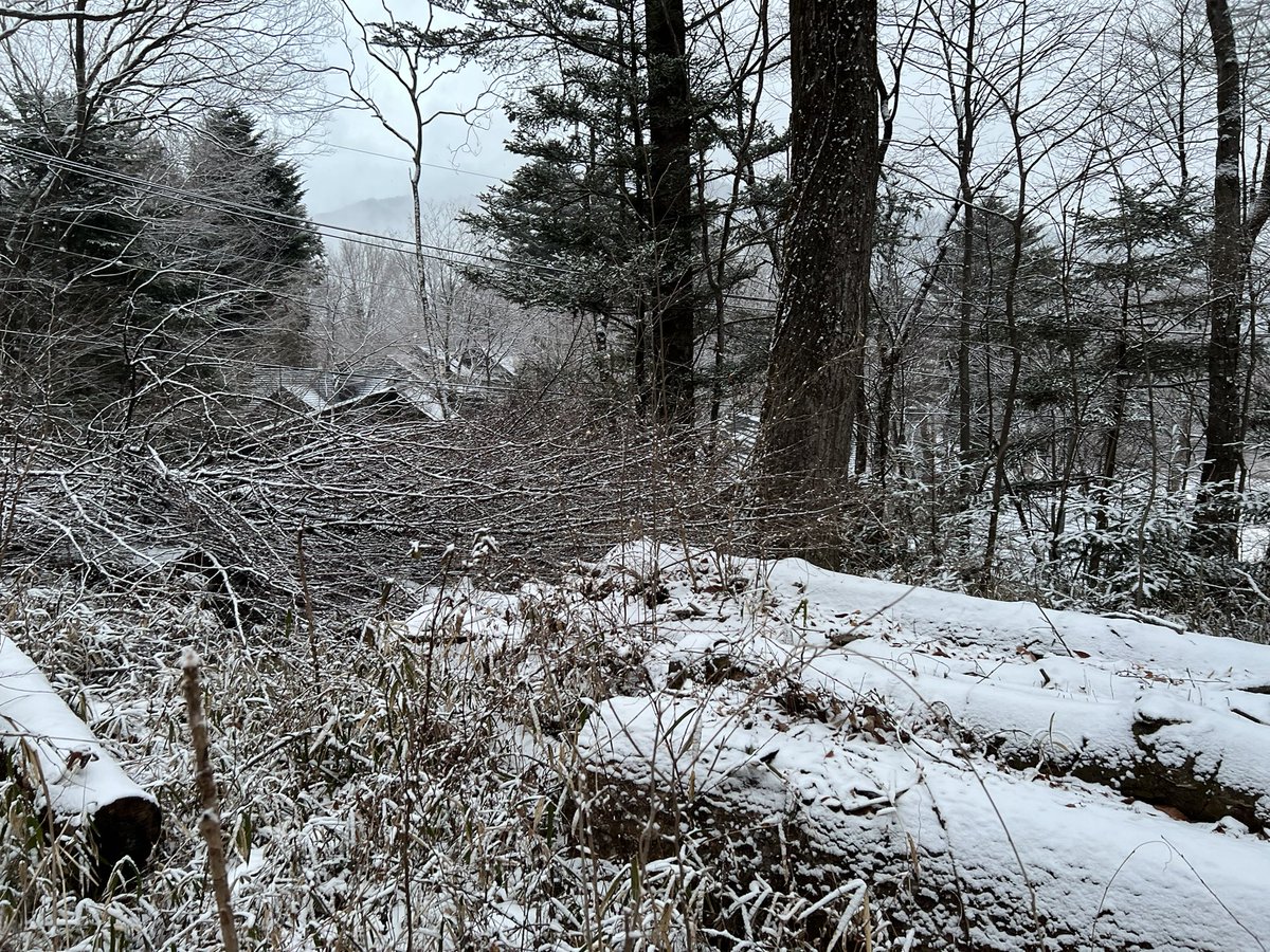 Ken Hidaka tweet media