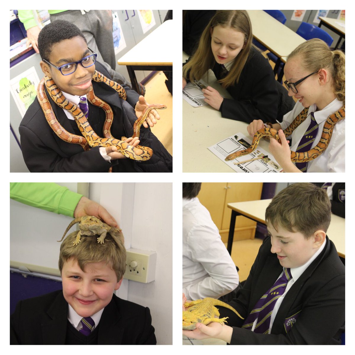 Belmont_School's tweet photo. Great day for Y8! A visit from Crazy Creatures North East to get our bugs and insects art project started #crazycreatures https://t.co/U1u79SKKRD