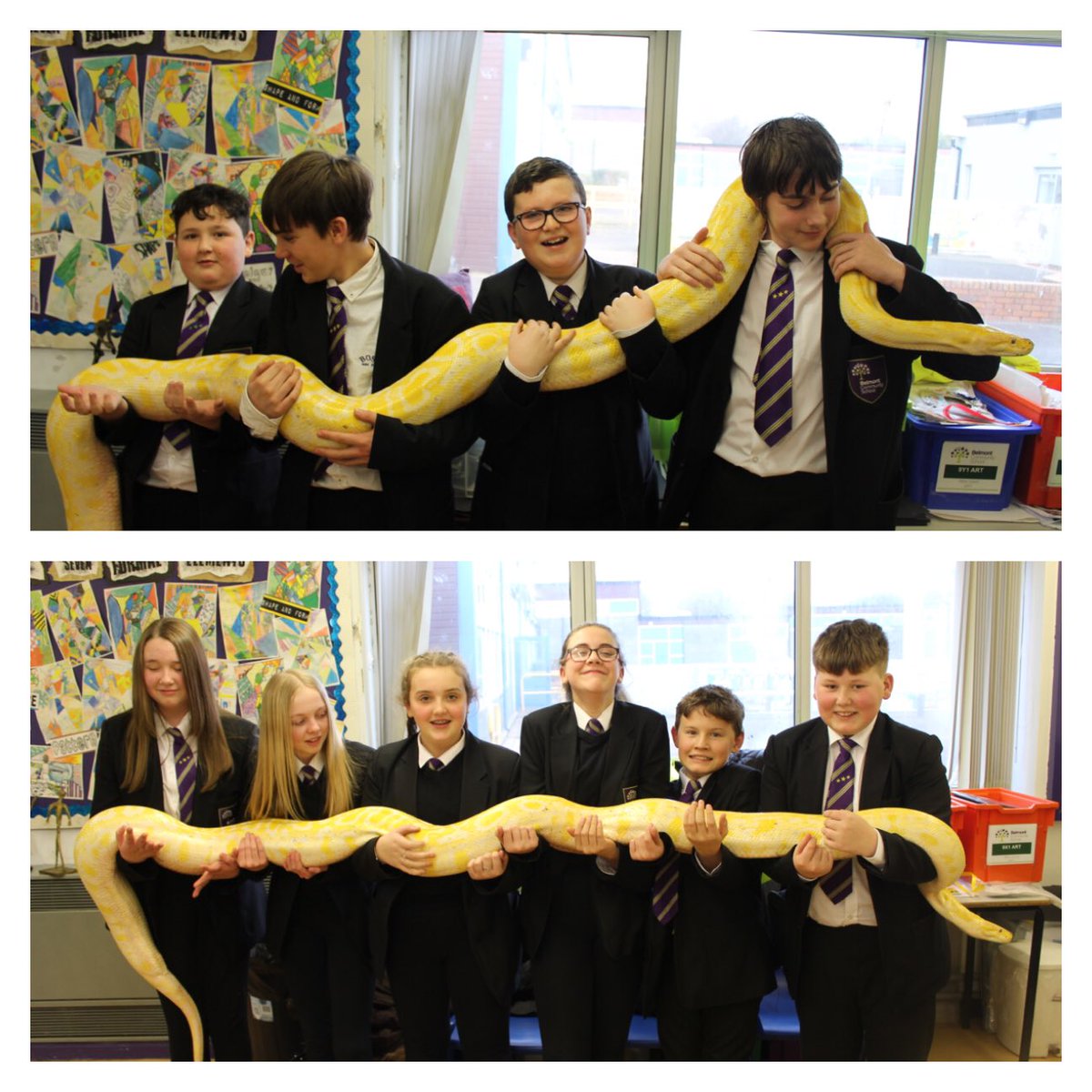 Belmont_School's tweet photo. Great day for Y8! A visit from Crazy Creatures North East to get our bugs and insects art project started #crazycreatures https://t.co/U1u79SKKRD