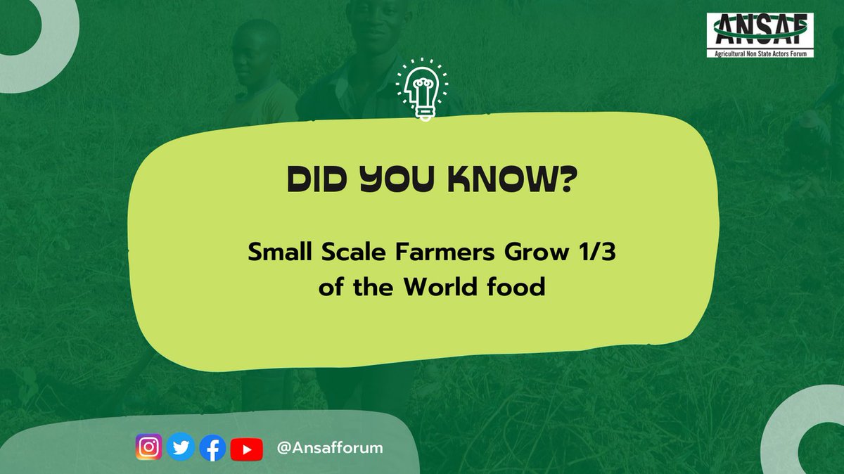 ANSAFForum's tweet image. Small scale farmers play a huge role in global food security - they produce 1/3 of the world&apos;s food! Support the local farmers nd sustainable agriculture in Tanzania by buying from small farms and make a difference. 

#smallscalefarming #foodsecurity
 #smallscalefarming