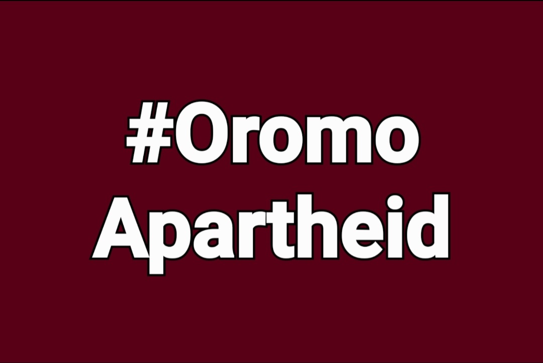 FanoSelna's tweet photo. Wherever we Amharas go, genocide will happen to us in Ethiopia. How long will the international community and the government remain silent? #AmharaGenocide #AmharaGenocideinoromia region
@UNHumanRights
 @SecBlinken
 @antonioguterres   @MikeHammerUSA https://t.co/x1eCjLj4ny