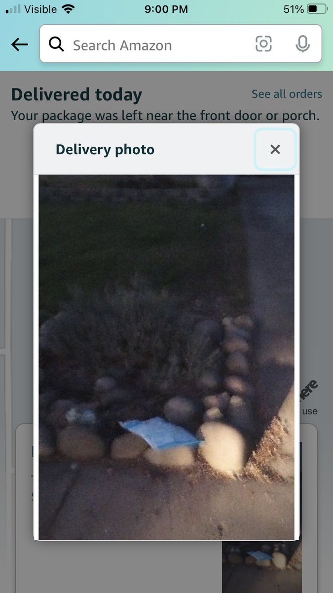 Josh Rowe tweet media