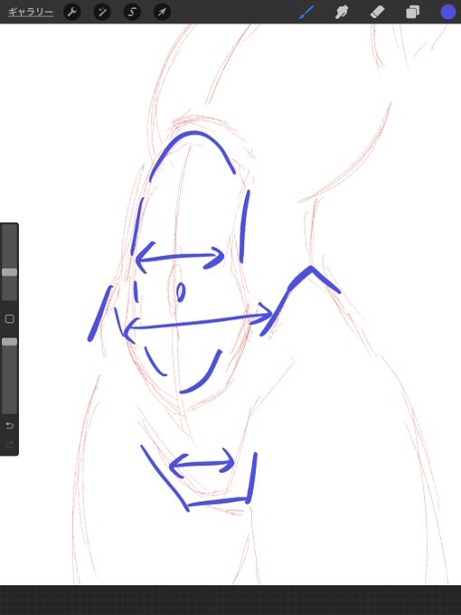 一般受けの良いボディは腹筋、骨盤、鼠径部の横幅は細めな人が多い気がする。

私はこれの倍ある方が好きですけど(血涙) 