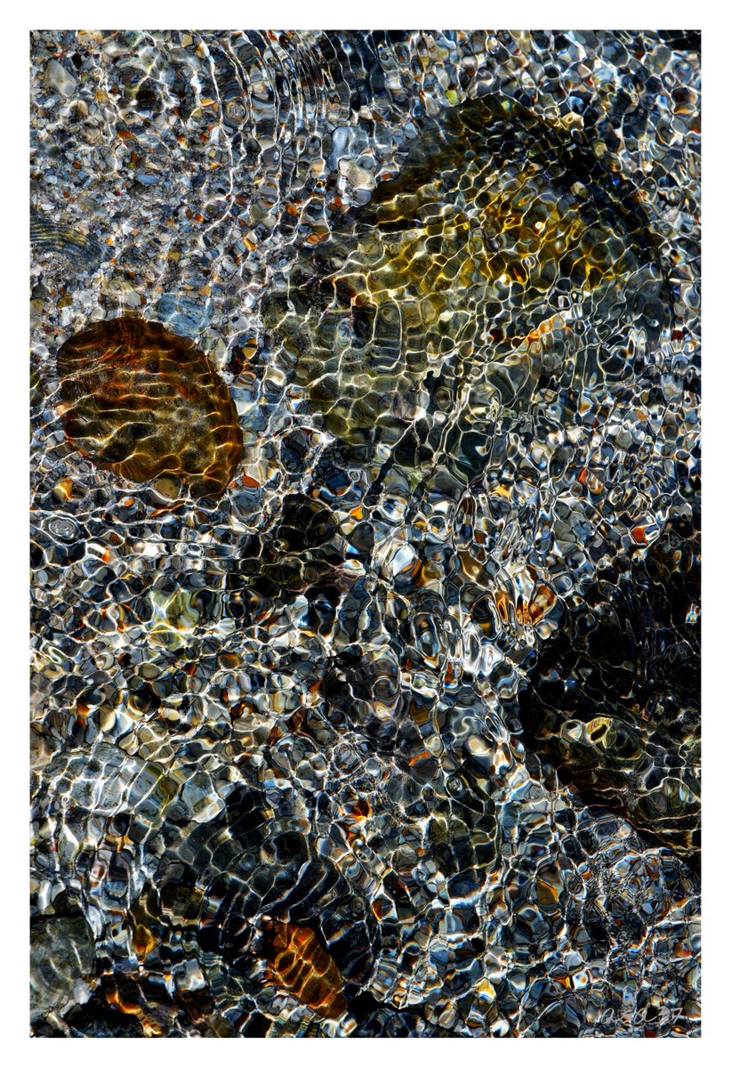 and2ia37's tweet photo. Abstract nature "mother and child"
https://t.co/dc5UUaBwIU

#NFTCommunity #nftart @opensea #nftphotographer #nftphotography #NFTCollection @nftnftnftart https://t.co/sheakRPwRV