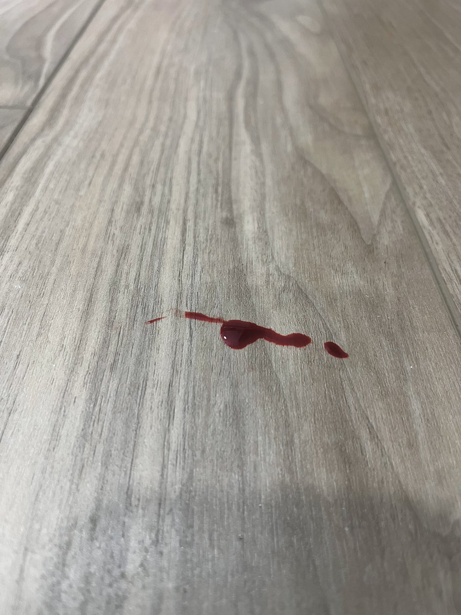 ibeaWolf's tweet photo. Thanks a lot Eris #CatsofTwitter 🐱#imbleeding 🥲 https://t.co/z7vTAjULtF