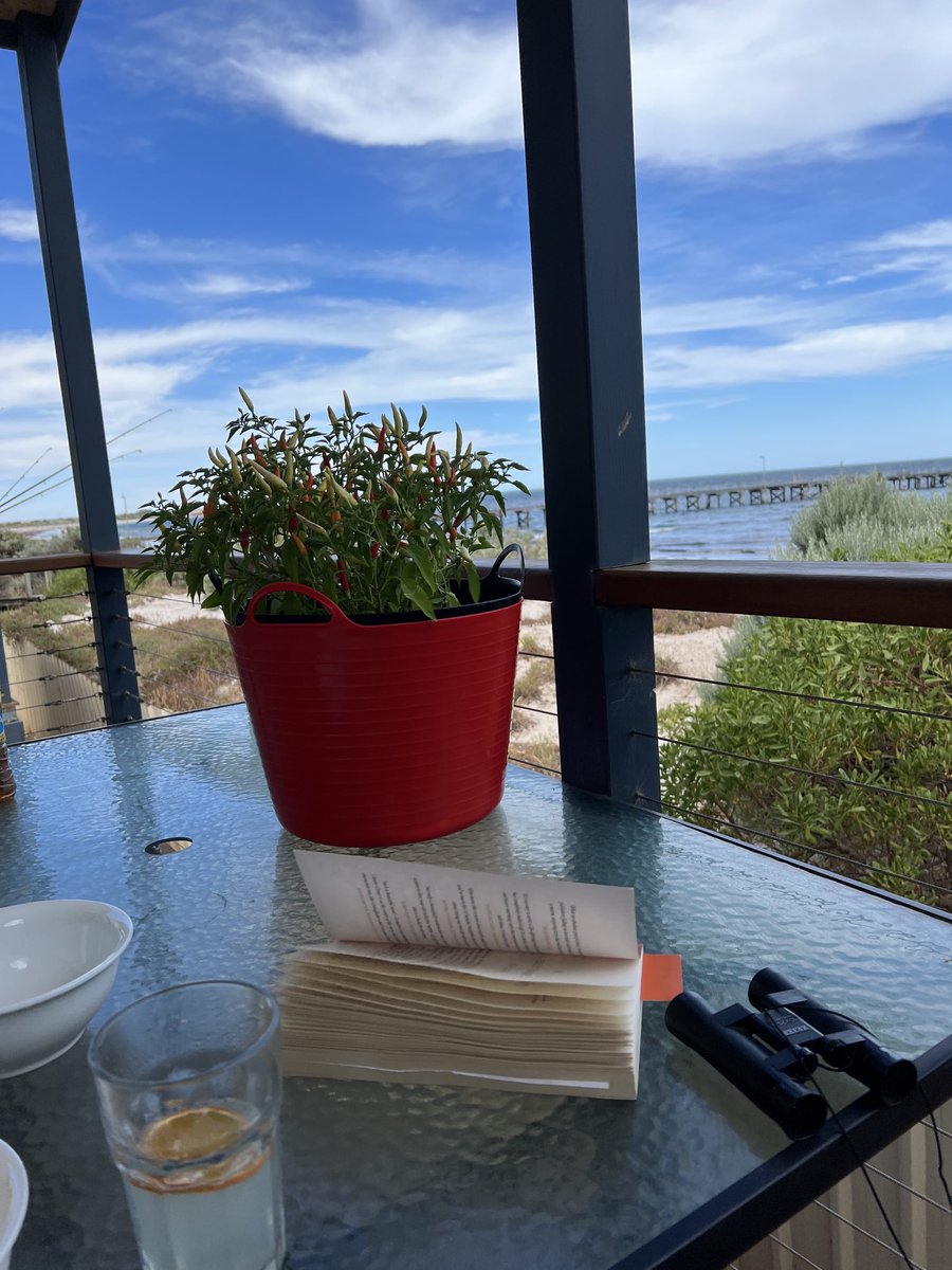saline's tweet photo. Cocktail hour at #ArnoBay. Supervised by Patty the travelling chilli bush.#road trip #southaustralia https://t.co/dBGk11aDmO