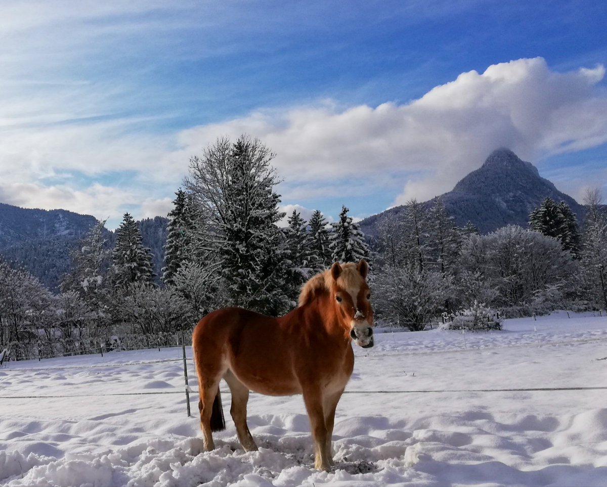 Guten Morgen, ich wünsche euch einen schönen Freitag.