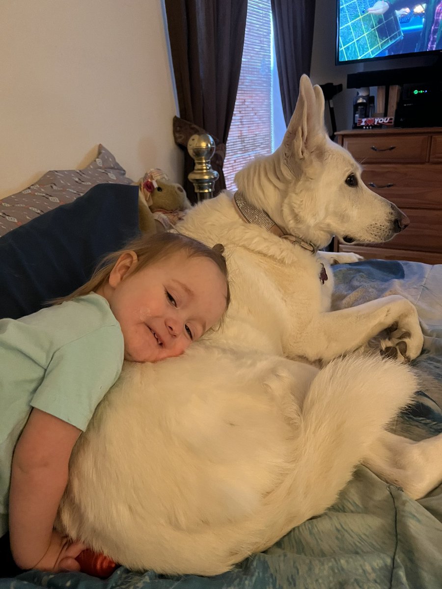 cheyy19xx's tweet photo. A girl and her big puppy 💓 https://t.co/ZsMVj47yJ8