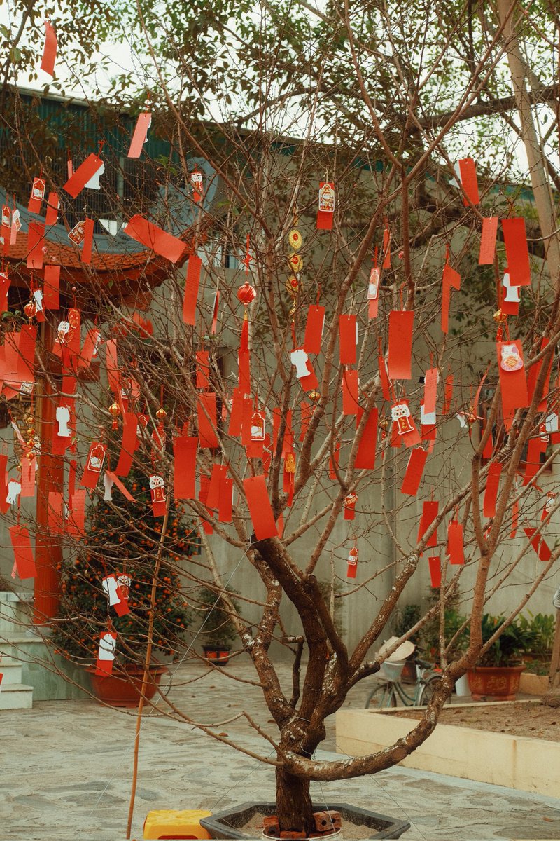 TPST_fancafe's tweet photo. 230127 [🌻 HANBIN POST]
 [🌻 FILM] TẾT 🏮🧧🎇

#TEMPEST #템페스트 #HANBIN #한빈 https://t.co/nIa8j15BO8
