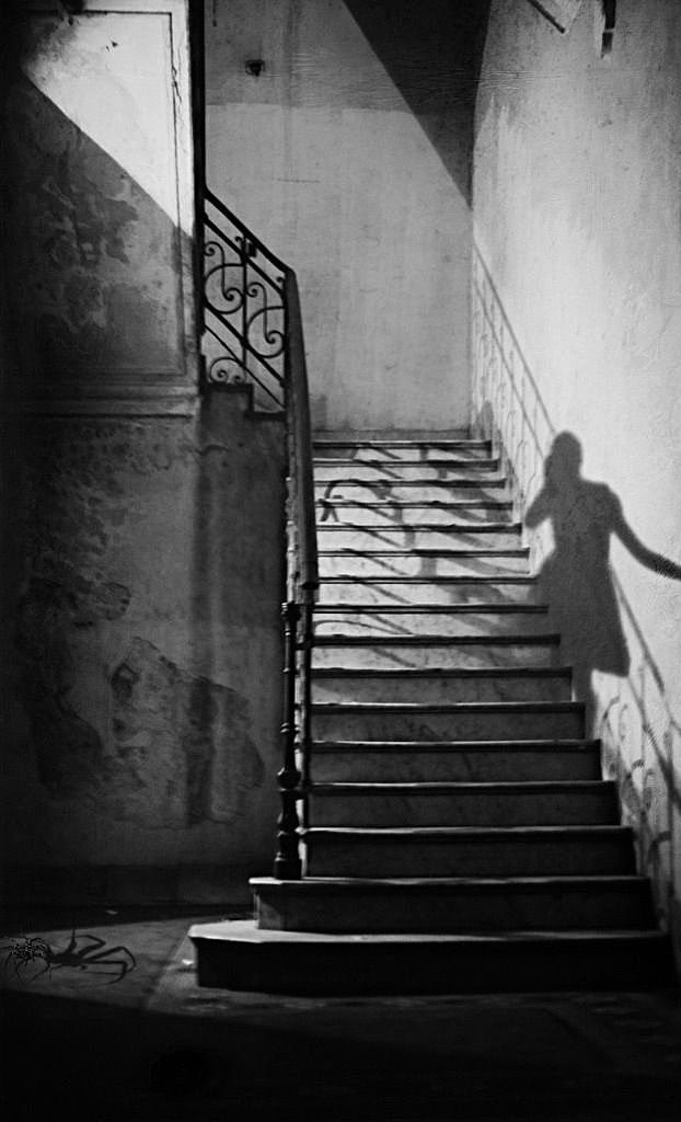 ＿＿ Shadow
＿＿＿＿＿＿＿＿＿＿＿
　　　　　　　　　　vf