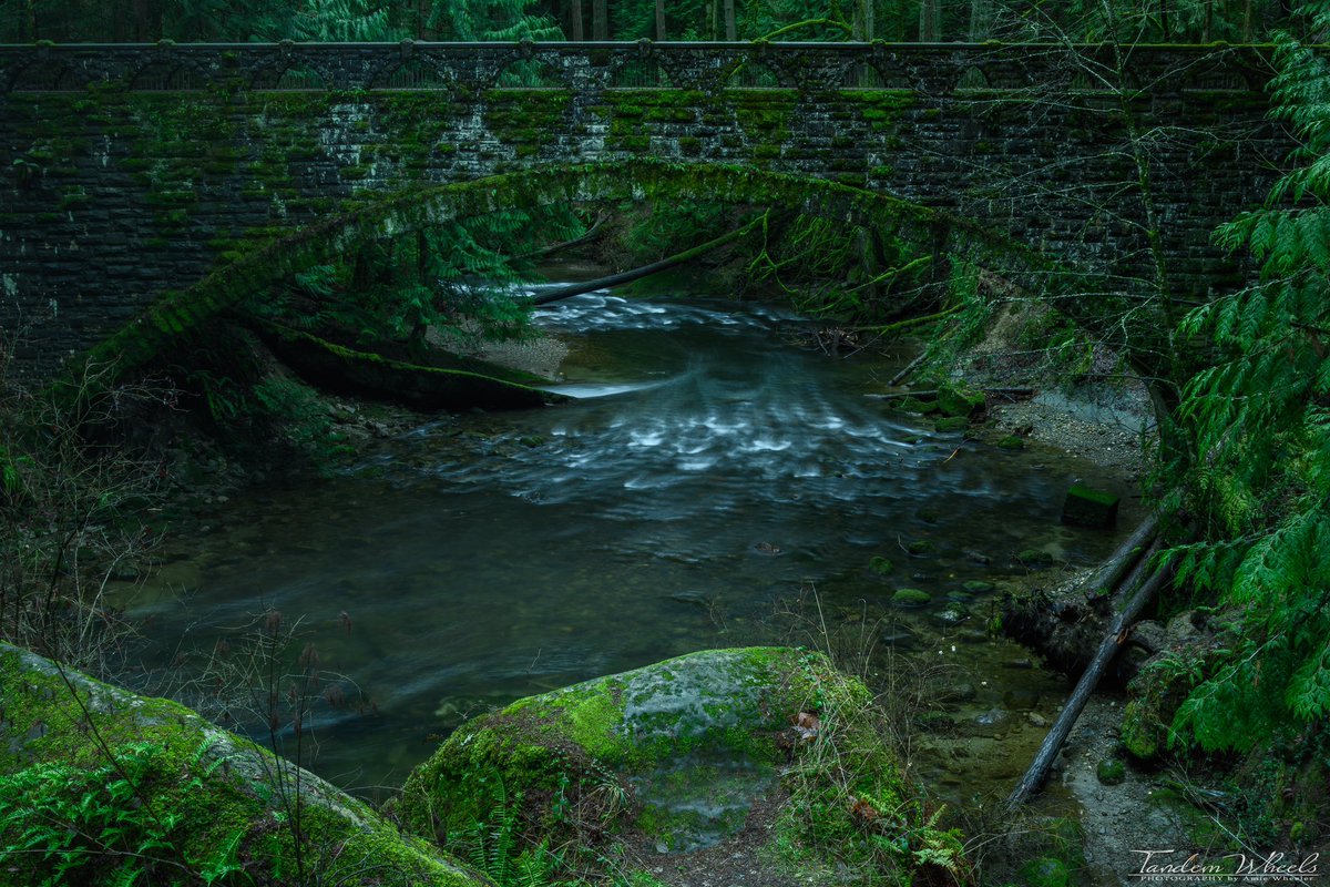 MimiRitZ244's tweet photo. Mossy Bricks Over The Water, Whatcom Falls 🌿
#pnw #sonorthwest #whatcomfalls #ThePhotoHour #wawx https://t.co/ubw1Hk2efh