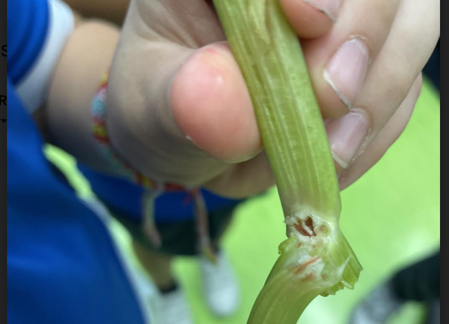 Kate Elizabeth Ryder tweet media