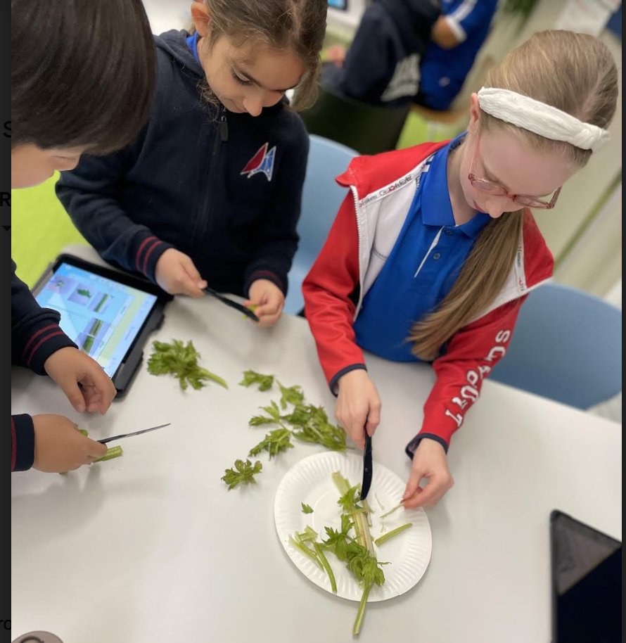 Kate Elizabeth Ryder tweet media