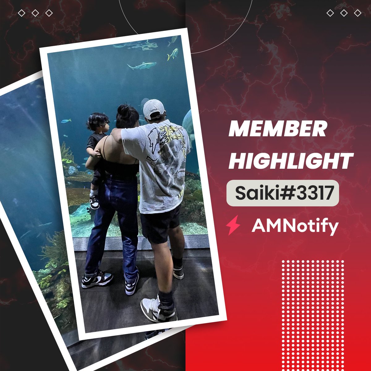 AMNotify tweet media