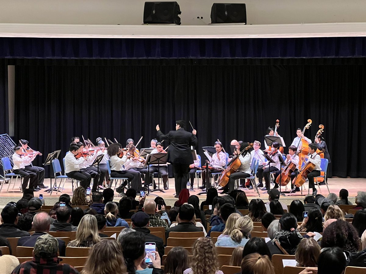 Edward Steinhauser tweet media