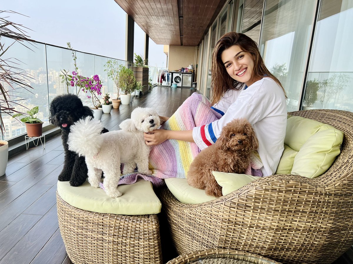 kritisanon's tweet photo. Its a Paw-fect Morningggg!! 🐶☀️🥰 https://t.co/ogUW0Bir4d