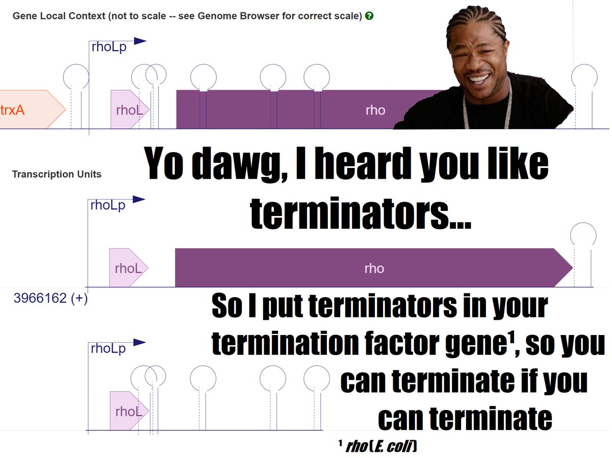 Shyam Bhakta tweet media