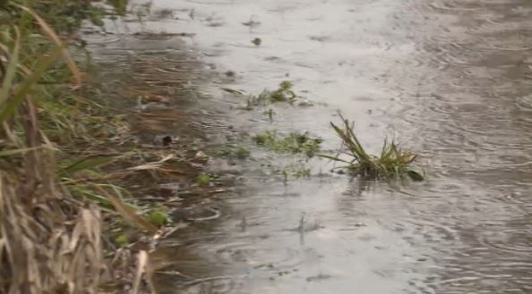 Gli argomenti di questa puntata di #BungiornoRegione: i campi di internamento della #Shoah, il racconto dal museo del rame e dal teatro di Agnone, il maltempo, le arance della salute e altri eventi del week end. Tra poco in onda #IoSeguoTgr