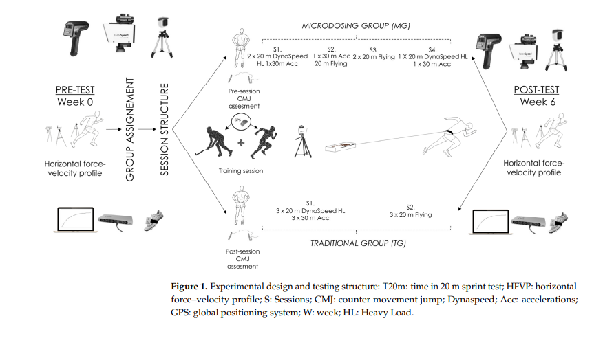 Danny Lum, PhD, CSCS, ASCA L2 tweet media