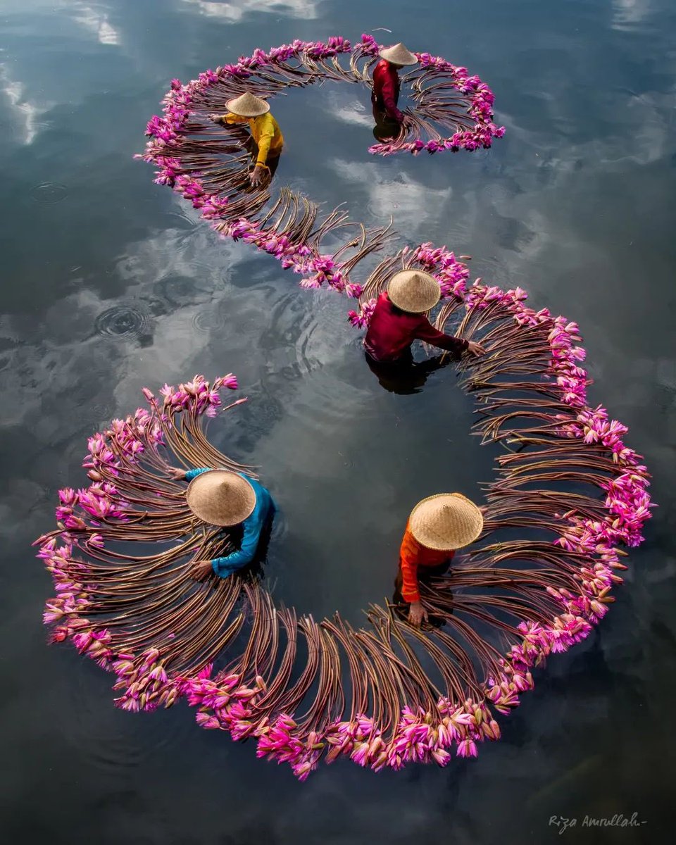 Unique_Abstract's tweet photo. By Riza Amrullah https://t.co/I7VjHvS7Ei