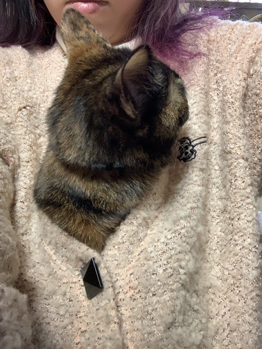bbhmau's tweet image. お店開けてます。パソコン作業中よく膝に乗ってくるからちゃん。今日はついに服の中に入って来ました。ちょっと邪魔だけどかわいいし暖かい😍
#富山古着 #usedstore #富山ハンドメイド #ギターピック #ギターピックアクセサリー #ハンドメイドアクセサリー #bz好き  #猫好き #謎の店 #ベース #元楽器屋