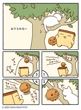 画像 / Picture