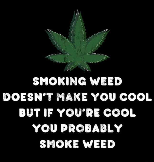 PNWcannabisclub's tweet photo. Hey #stonerfam I'm going to be in #denver this weekend at the Denver motorcycle expo! If you plan on attending I'm posted up at the @GraySoul53 booth Saturday and Sunday. Come say high and send me some #dispensarys to hit while I'm in Town 
#spreadlove #Mmemberville #potnotpills https://t.co/Ojd4dIBZC6