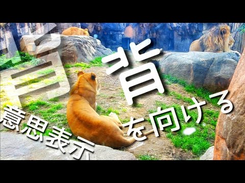 alojapan's tweet image. 西成あいりん地区 三角公園友だちと行く『天王寺動物園』
 
alojapan.com/701392/%e8%a5%…
 
#VLLO #Wakayama #WakayamaDestinations #WakayamaTour