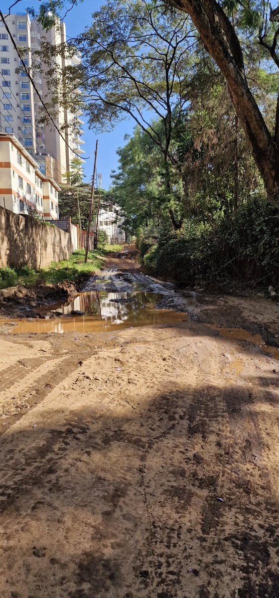 Mainamur's tweet photo. Road in Nairobi in terrible condition with further destruction from sewage overflows behind Muthaiga Square. Efforts to bring required action have been futile. @SakajaJohnson thank you for seeing this. @NemaKenya @NairobiWater @KURAroads https://t.co/xwGW8JERTF