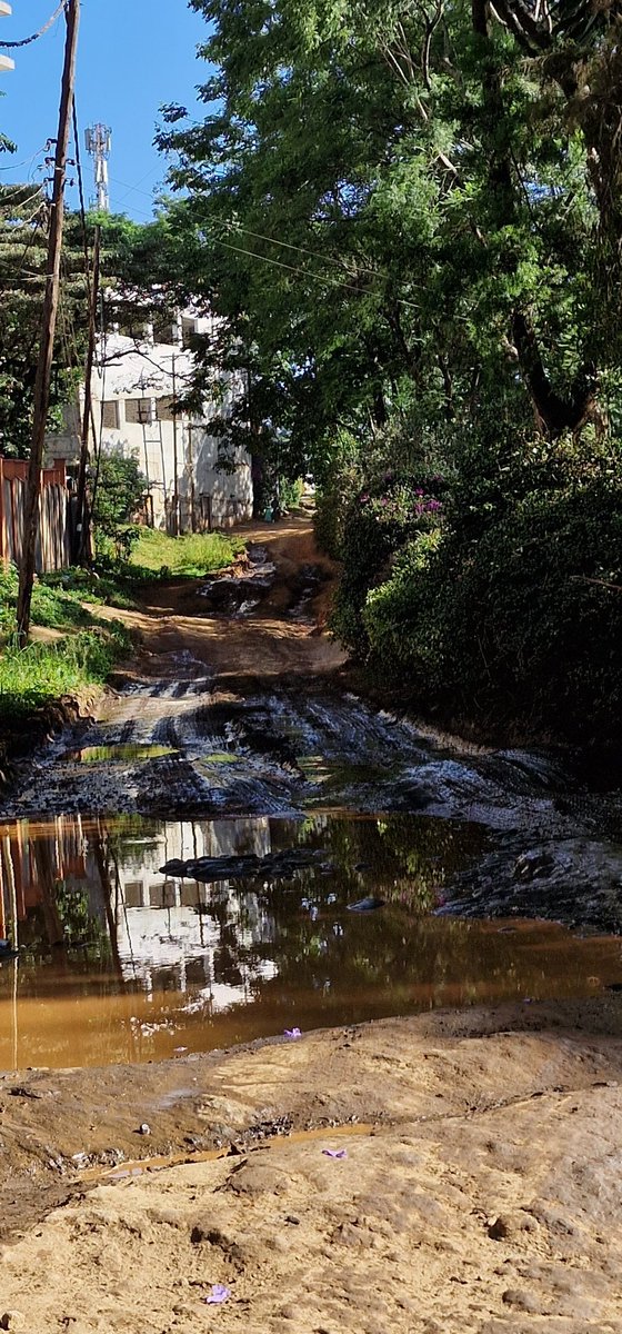 Mainamur's tweet photo. Road in Nairobi in terrible condition with further destruction from sewage overflows behind Muthaiga Square. Efforts to bring required action have been futile. @SakajaJohnson thank you for seeing this. @NemaKenya @NairobiWater @KURAroads https://t.co/xwGW8JERTF