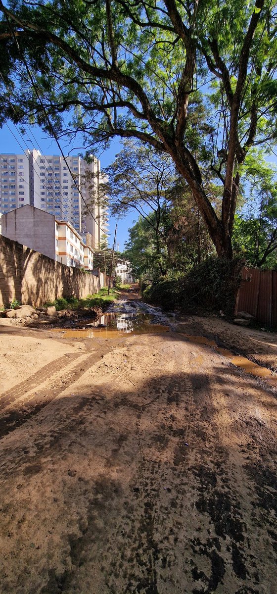 Mainamur's tweet photo. Road in Nairobi in terrible condition with further destruction from sewage overflows behind Muthaiga Square. Efforts to bring required action have been futile. @SakajaJohnson thank you for seeing this. @NemaKenya @NairobiWater @KURAroads https://t.co/xwGW8JERTF