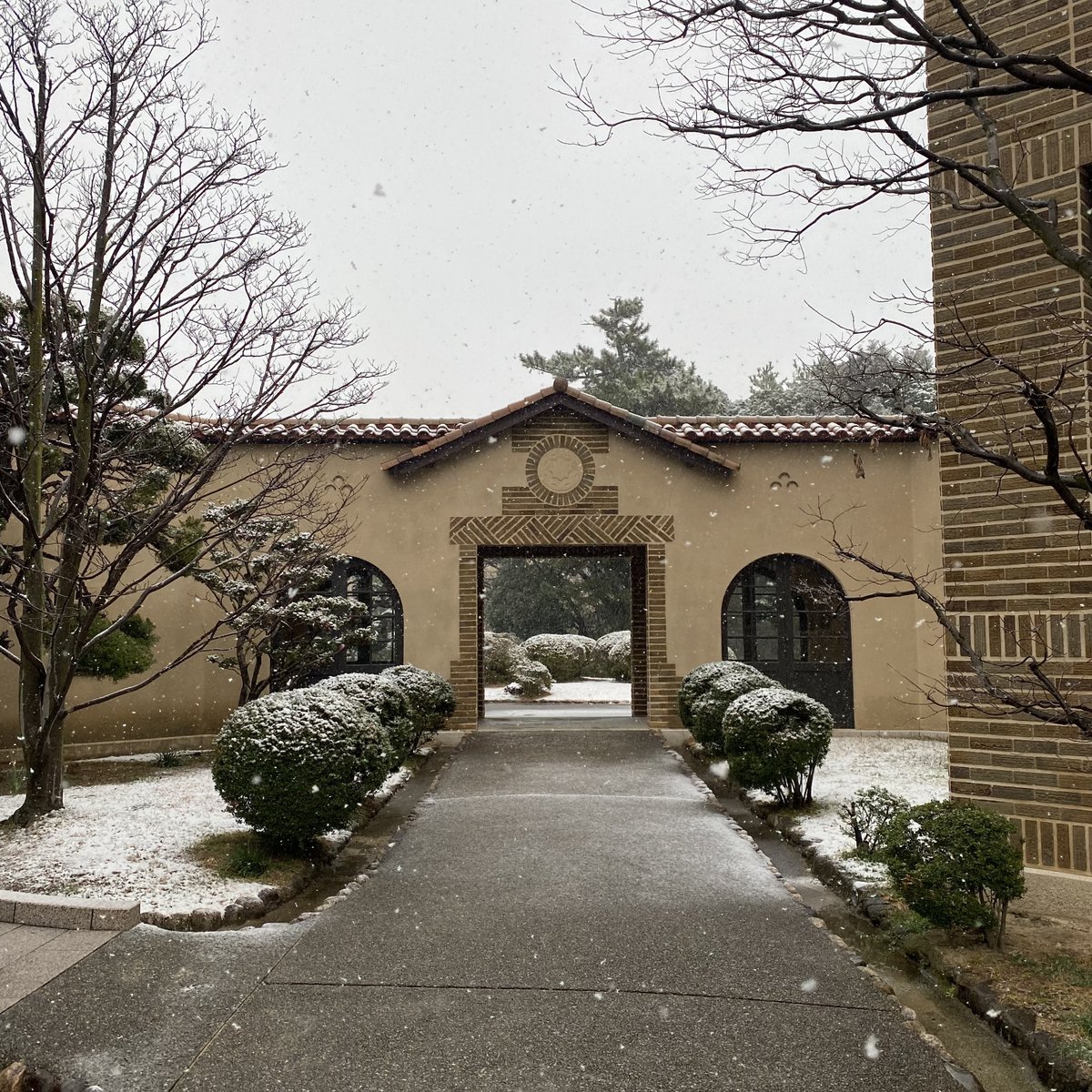 kobe_college's tweet image. 【キャンパス風景：雪】
※2023年1月27日（金）朝撮影
#神戸女学院
#雪
#岡田山キャンパス
#文学館
#理学館
#図書館本館
#総務館
#ソールチャペル
#シェイクスピアガーデン
