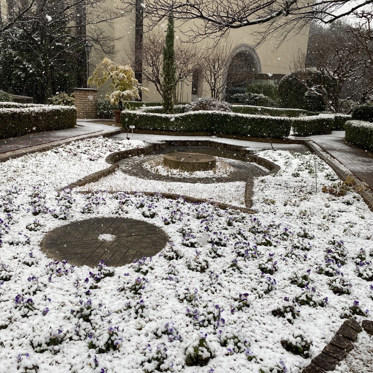 kobe_college's tweet image. 【キャンパス風景：雪】
※2023年1月27日（金）朝撮影
#神戸女学院
#雪
#岡田山キャンパス
#文学館
#理学館
#図書館本館
#総務館
#ソールチャペル
#シェイクスピアガーデン