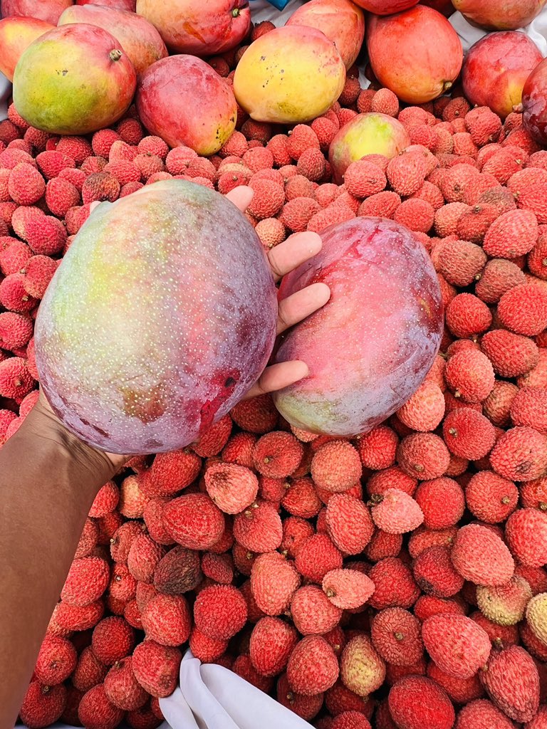 Mantehunadi's tweet photo. Please note that I will be selling litchis and mangoes today Friday 27 January at Bryanston behind Bryeven primary from 11:00  until 13:30

Litchis R50 a kilo
Mangoes
R50 for 5
WhatsApp me for pin location 0612334381
#SAPS #BBTitians #KingsOfJoburg 
 #Sjava https://t.co/BIcqGl0gQm