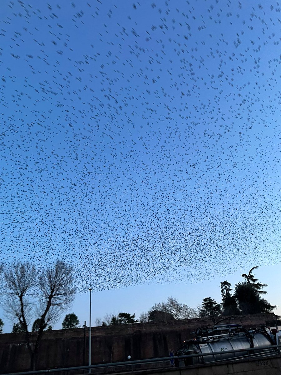 Sam Bova tweet media