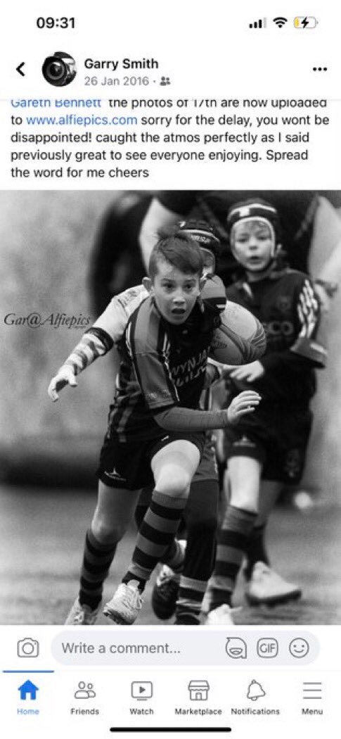 Alfiepics tweet media