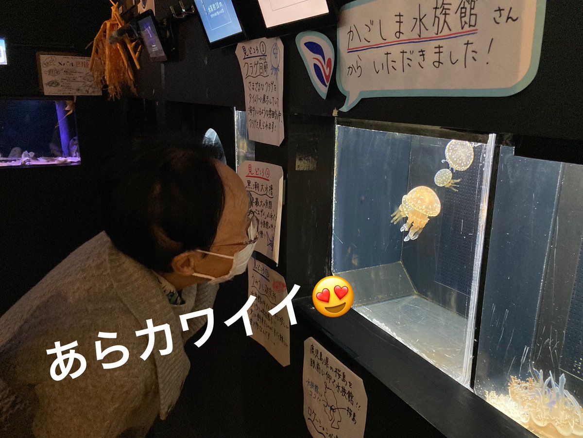 DaysBLG's tweet photo. ✨本日の活動ダイジェスト✨

午前:ショッパーポスティング、買い物、事業所訪問
ランチ:外食（和食）、BLG!でお弁当
午後:#北里アクアリウムラボ（@aqualabostaff ）見学、千葉大学講義（学生さんとの対談）、事業所訪問

メンバーさんからの情報提供で外出レクの行き先が決まることもあります😃 https://t.co/MnVbqIZy23